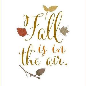 Meet your Posher, Sumaik